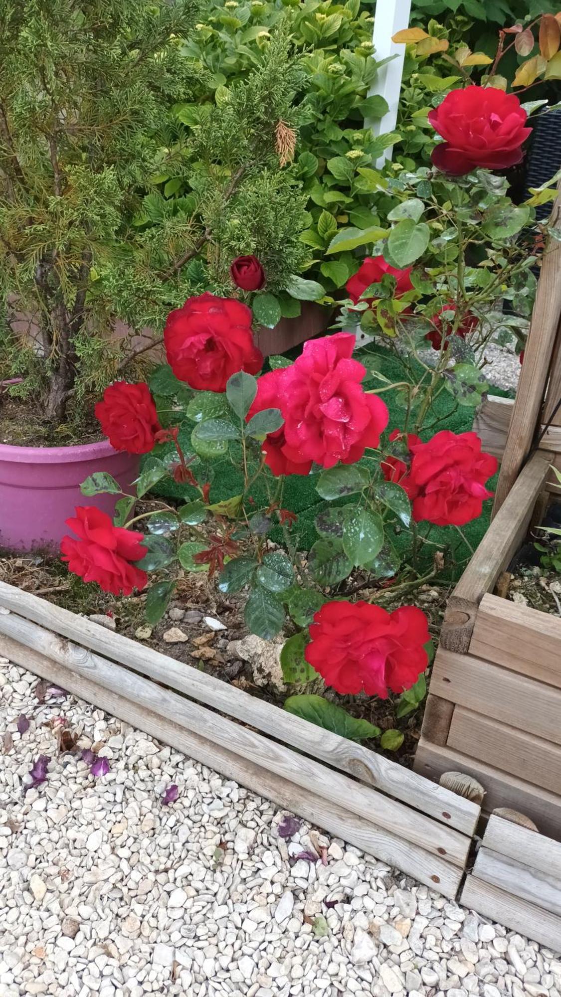 Le Clos Des Passiflores Pons Bagian luar foto