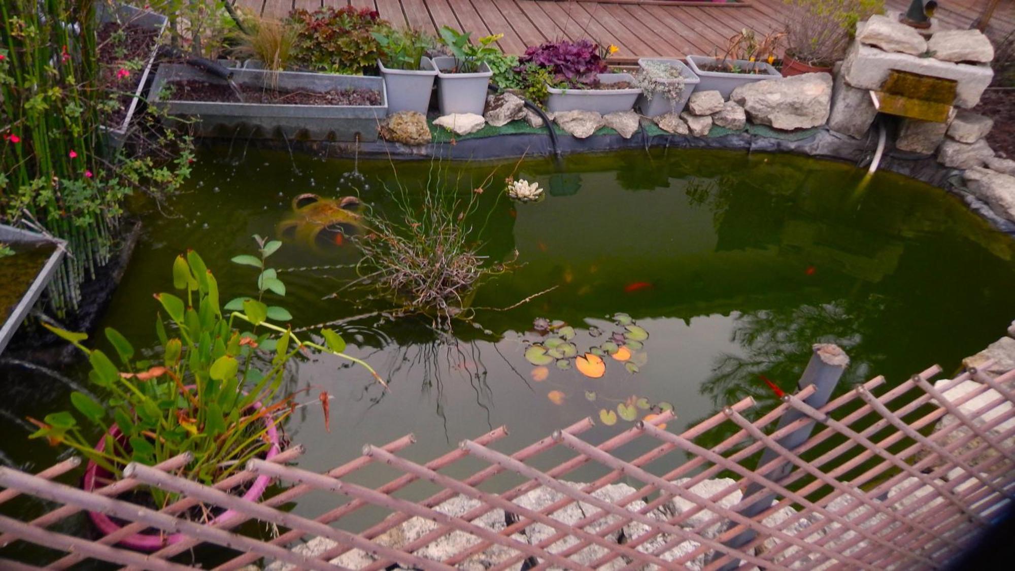 Le Clos Des Passiflores Pons Bagian luar foto